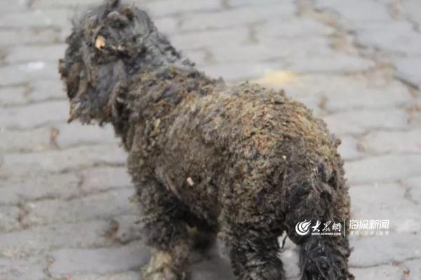 突發(fā)！青島一居民樓發(fā)生爆燃！已造1人死亡，7人受傷！3公里外有震感…